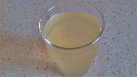 Foto de JUGO DE NARANJA AGRÍA